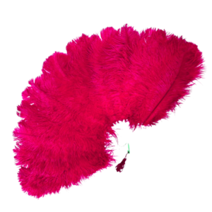 Burlesque Classes Chicago